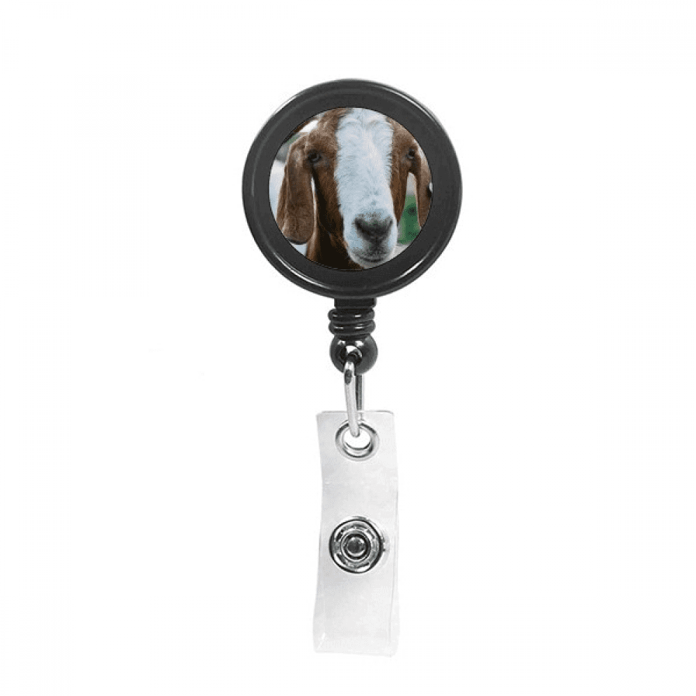 m Sheep Animal Photography Retractable Keychain Badge Holder ID Badge