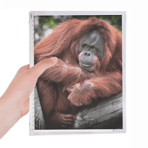 m animal orang-utan notebook loose diary refillable journal statiry