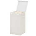 thumbnail image 1 of mDesign Large Upright Laundry Hamper, Hinge Lid, Attached Handles - Cream/White, 1 of 8