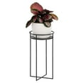 thumbnail image 1 of mDesign Metal Modern Indoor/Outdoor Plant Stand, Flowers, Greenery, Matte Black, 1 of 7