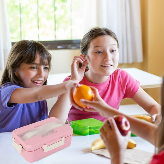 marioyuzhang Boxes For Kids & Adults Bento Lunch Box For Kids Childrens