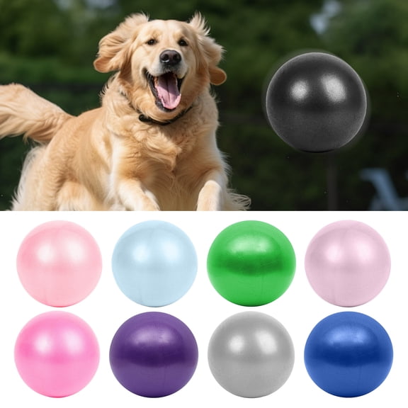 mdesiwst 9.8 Inch Herding Ball for Dogs Pet Inflatable Ball Toy Interactive Play Exercise Ball Promotes Physical Health for Small Medium Pets