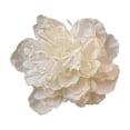thumbnail image 1 of mdesiwst Hairpin Realistic Flowers Decor Secure Grip Lightweight Hair Clip Side Bang Hair Pin Vacation Style Hair Accessory, 1 of 8