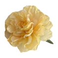 thumbnail image 1 of mdesiwst Hairpin Realistic Flowers Decor Secure Grip Lightweight Hair Clip Side Bang Hair Pin Vacation Style Hair Accessory, 1 of 8