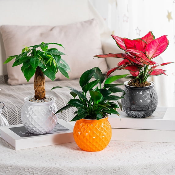 mdesiwst Self Watering Flowerpot with Transparent Bottle And Water Level View Self-Absorbing Cotton Rope Planter Double-Layer Flower Pot for Indoor Plants And Money Trees