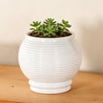 thumbnail image 1 of mdesiwst Self Watering Pot for Indoor Plants Small Plastic Flower Plant Pot with Wick Rope And Reservoir for African Violet Spider Plant Orchid, 1 of 8
