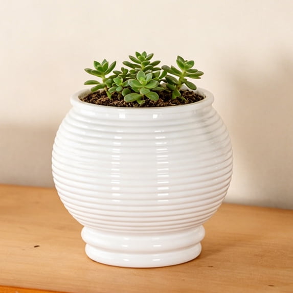 mdesiwst Self Watering Pot for Indoor Plants Small Plastic Flower Plant Pot with Wick Rope And Reservoir for African Violet Spider Plant Orchid