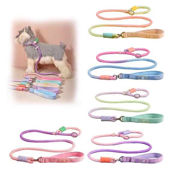 mdesiwst Slip Lead Dog Leash 5Ft Heavy Duty Rope Leash No Pull Pet Training Lead Slip Leash for Large Medium Dogs