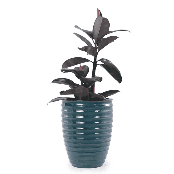 mdj pottery 1PC 17 Inch Large Ceramic Planter, Ceramic Indoor Plant Pots with Drainage, Horizontal Ripples, Indoor Outdoor Doorway Decor for Monstera Fiddle Leaf Fig - Army Green