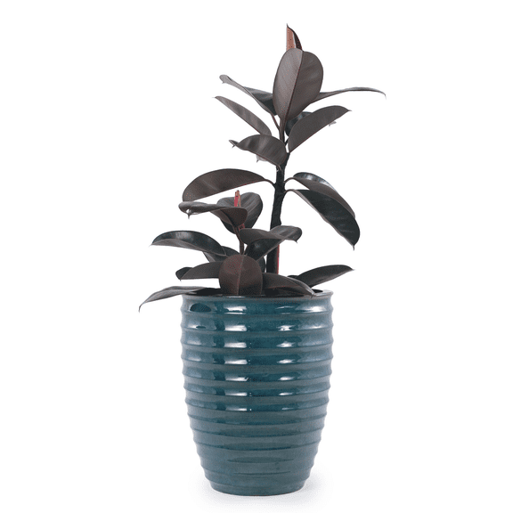mdj pottery 1PC 17 Inch Large Ceramic Planter, Ceramic Indoor Plant Pots with Drainage, Horizontal Ripples, Indoor Outdoor Doorway Decor for Monstera Fiddle Leaf Fig - Army Green