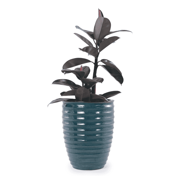 mdj pottery 1PC 17 Inch Large Ceramic Planter, Ceramic Indoor Plant Pots with Drainage, Horizontal Ripples, Indoor Outdoor Doorway Decor for Monstera Fiddle Leaf Fig - Army Green