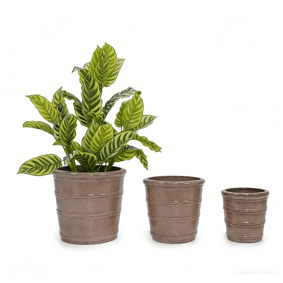 mdj pottery 3pcs Deep Dark Brown Horizontal Rib Ceramic Planter Set, 16/13/10 Inch, Breathable Clay for Monstera Fiddle Leaf Fig, Indoor Outdoor Decor