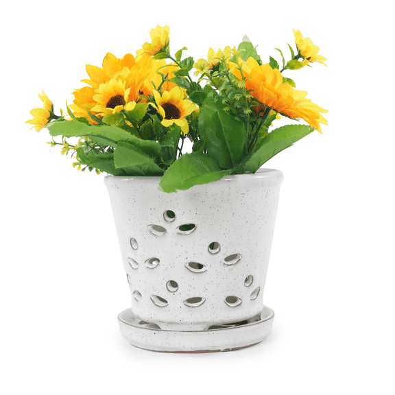 mdj pottery Ceramic Orchid Pot, 5.9 Inch Tapered Cylindrical Shaped Plant Pot, White Glazed Flower Pot with Drainage Hole, Vent Holes & Attached Matching Saucer