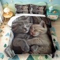 thumbnail image 1 of meiyoeat Kawaii Kitten Quilt Full,Cute Pet Animal Full Bedspread Sets,3-Piece,1 Coverlet and 2 Pillowcases, 1 of 7