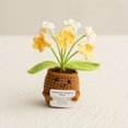 thumbnail image 1 of memade Crocheted Plant Pot With Positive Encouragement Message - Handmade Knitted Wool Pot With Cute Design - Desk Bedroom Decor Birthday Gift, 1 of 4