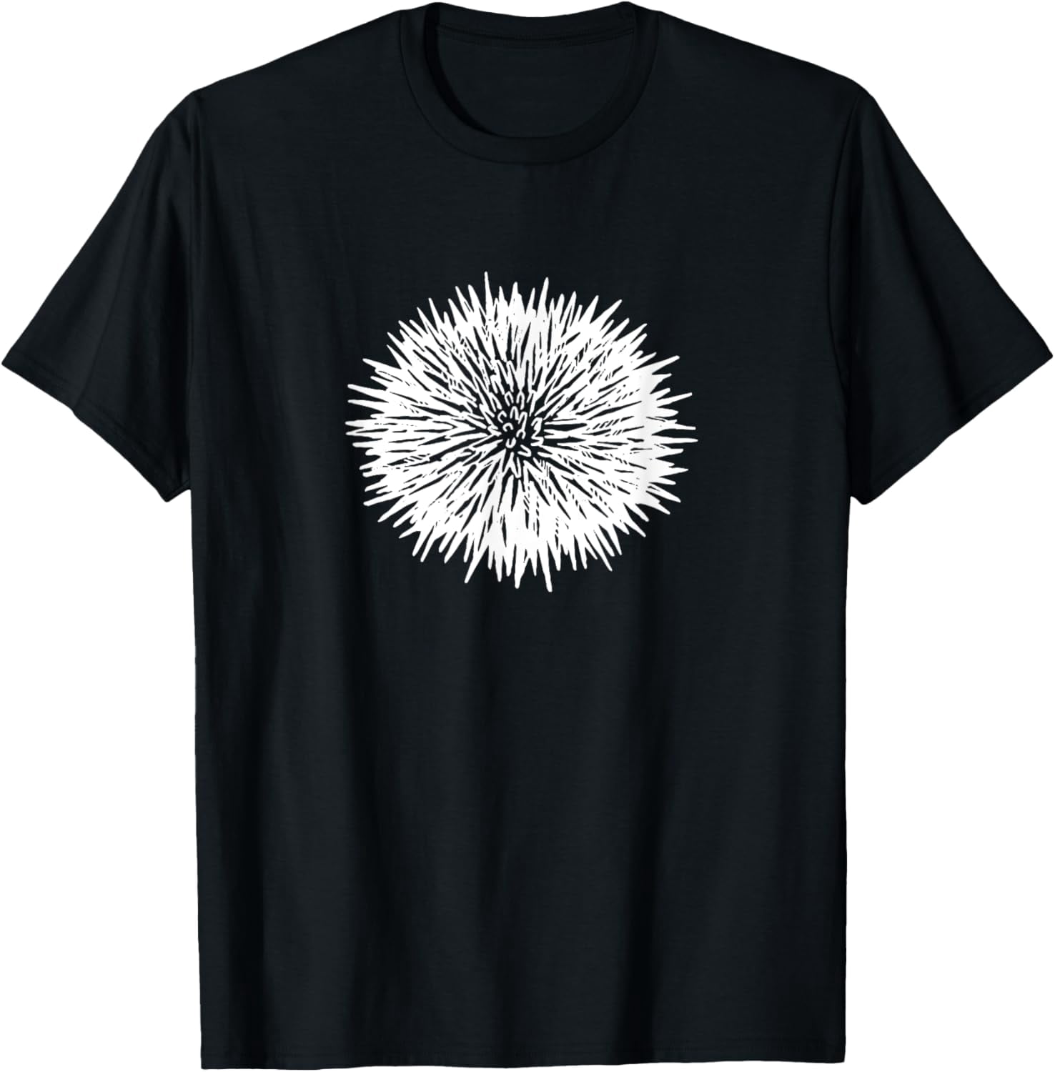 Sea urchins tunic