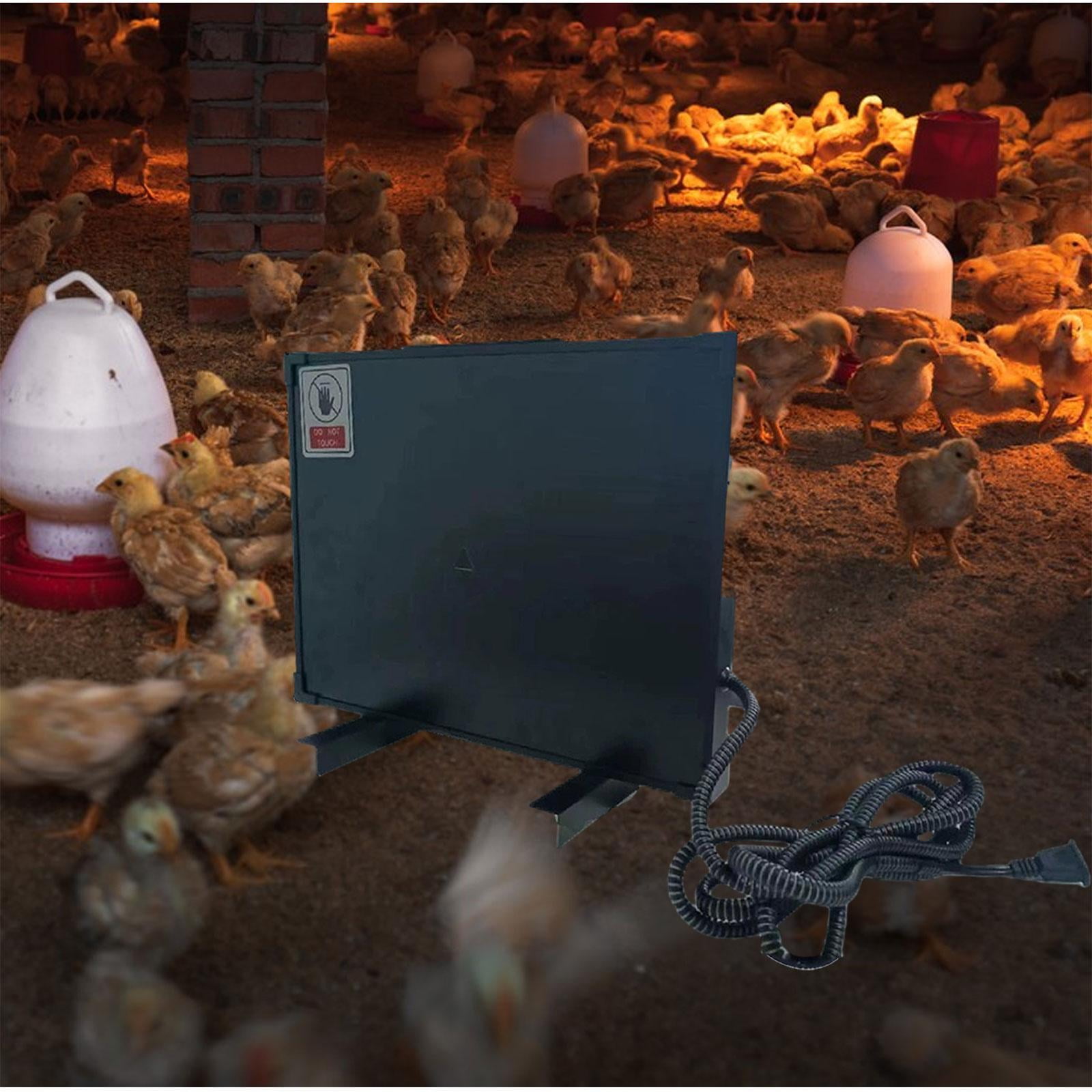 menolana Brooder Heater for Chicks Chicken Breeding Heating Plate ...