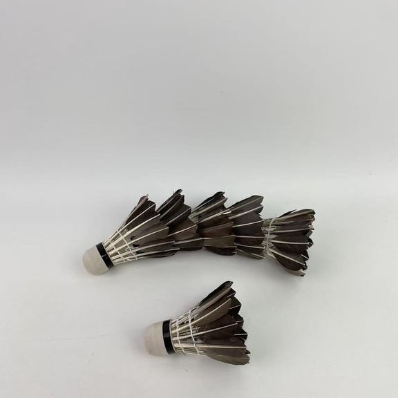 vainga Shuttlecocks,Feather Badminton Shuttlecocks with Great Stability and Durability,Shuttlecock Indoor Outdoor Sports Hight Speed Training Badminton Birdie Balls