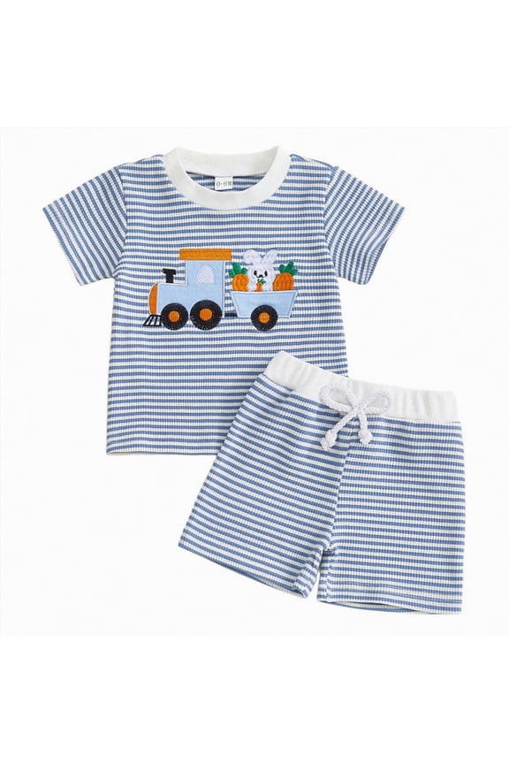 Toddler Baby Boy Easter Outfit Bunny Embroidered Short Sleeve T-Shirt Tops Plaid Shorts 2pcs Set Cute Infant Clothes(Blue,0-6 Months)