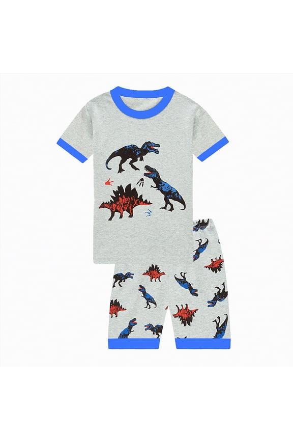 Toddler Boy Clothes Summer Sets Toddler Boys Summer Clothes Kids Dinosaur Outfit Short Sleeve T Shirt Shorts Sets 6 12 18 24 Months 2T 3T 4T|Sky Blue,18-24 Months
