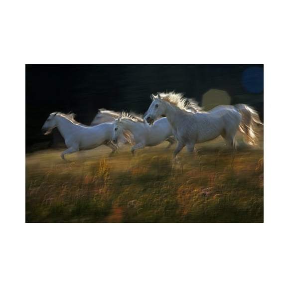 milan malovrh 'Riding The Field' Canvas Art