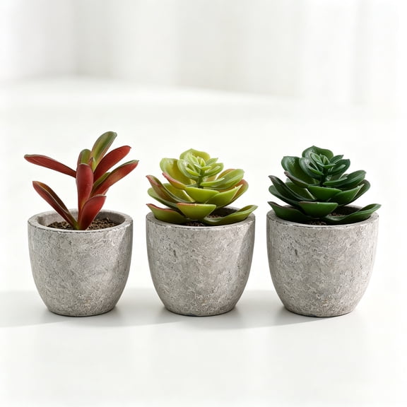 mirlewaiy Potted Faux Succulents, 3 Pack Decorative Artificial Cactus Plants