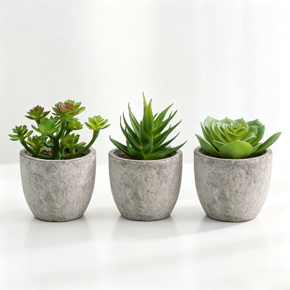 mirlewaiy Potted Faux Succulents, 3 Pack Decorative Artificial Cactus Plants