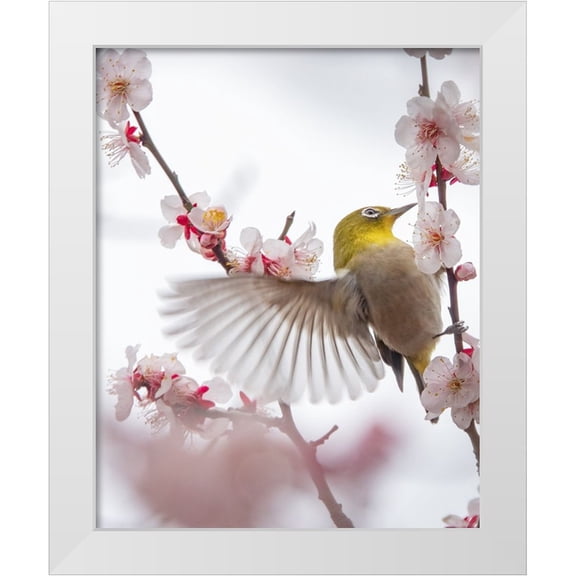 miwa_sun_ 12x14 White Modern Wood Framed Museum Art Print Titled - Dance With Plum