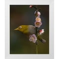 thumbnail image 1 of miwa_sun_ 20x24 White Modern Wood Framed Museum Art Print Titled - Plum Blossoms And White-Eye, 1 of 4