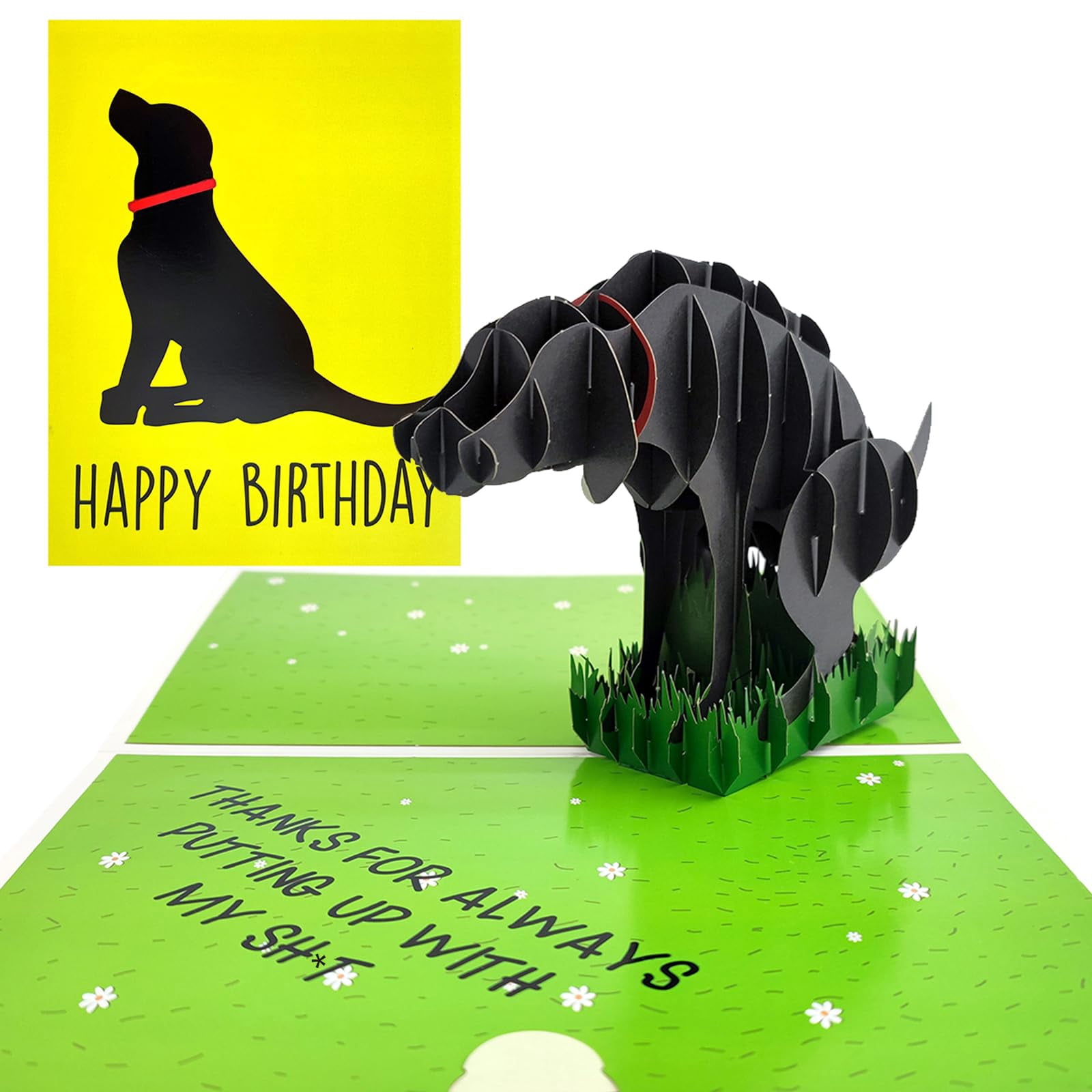 mmuue Humor Pop Up Birthday Card SMRfor Dog Owners Lovers, Lovely 3D ...