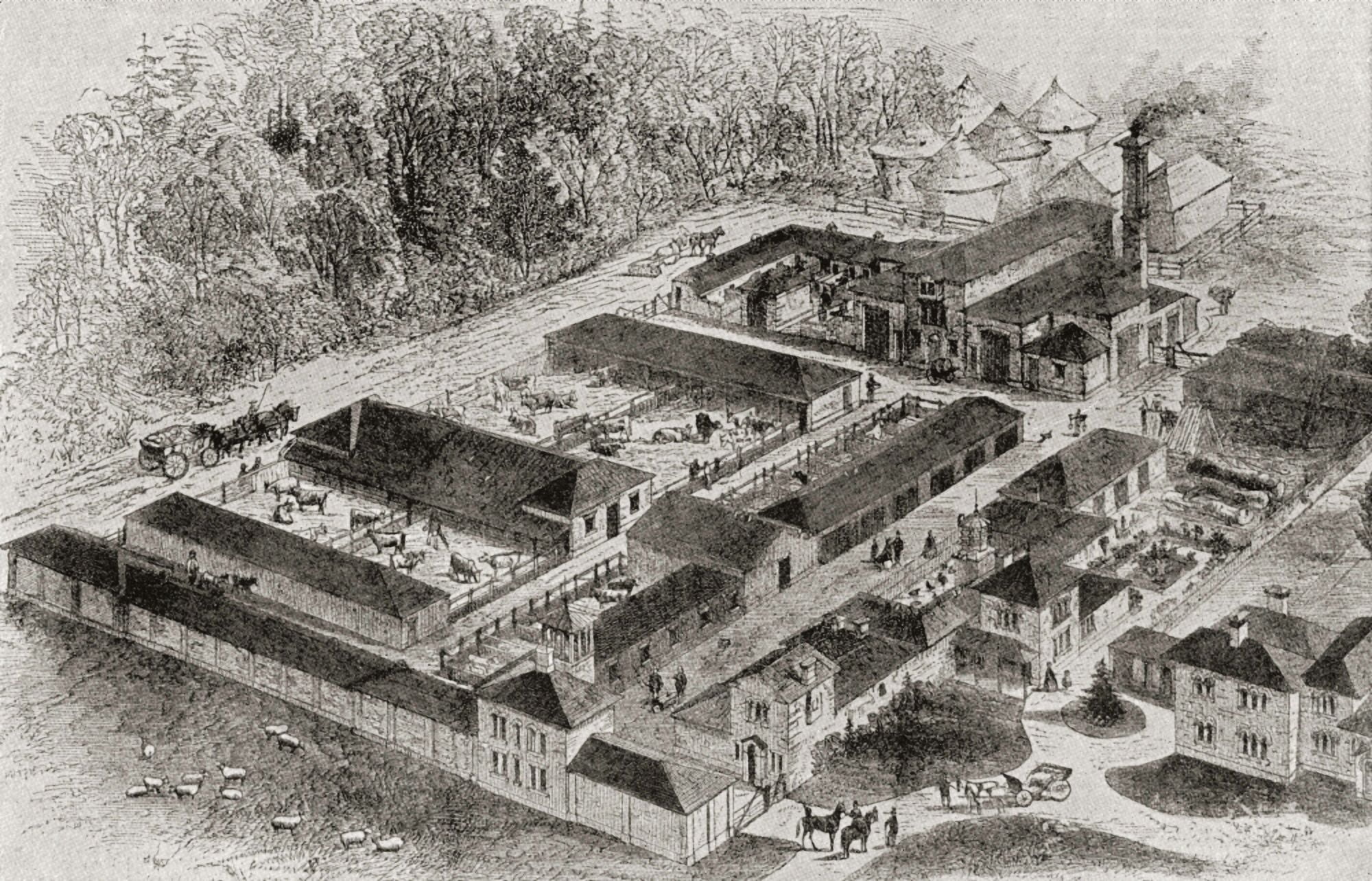 The model farm of Albert Edward Prince of Wales future King at Windsor Berkshire England in 1862 From Edward VII His Life and Times published 1910 Canvas Art - Ken Welsh Design Pics (18 x 11)