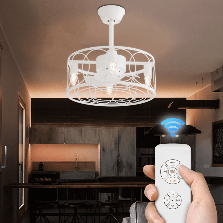 Mollie Caged Ceiling Fan With Remote