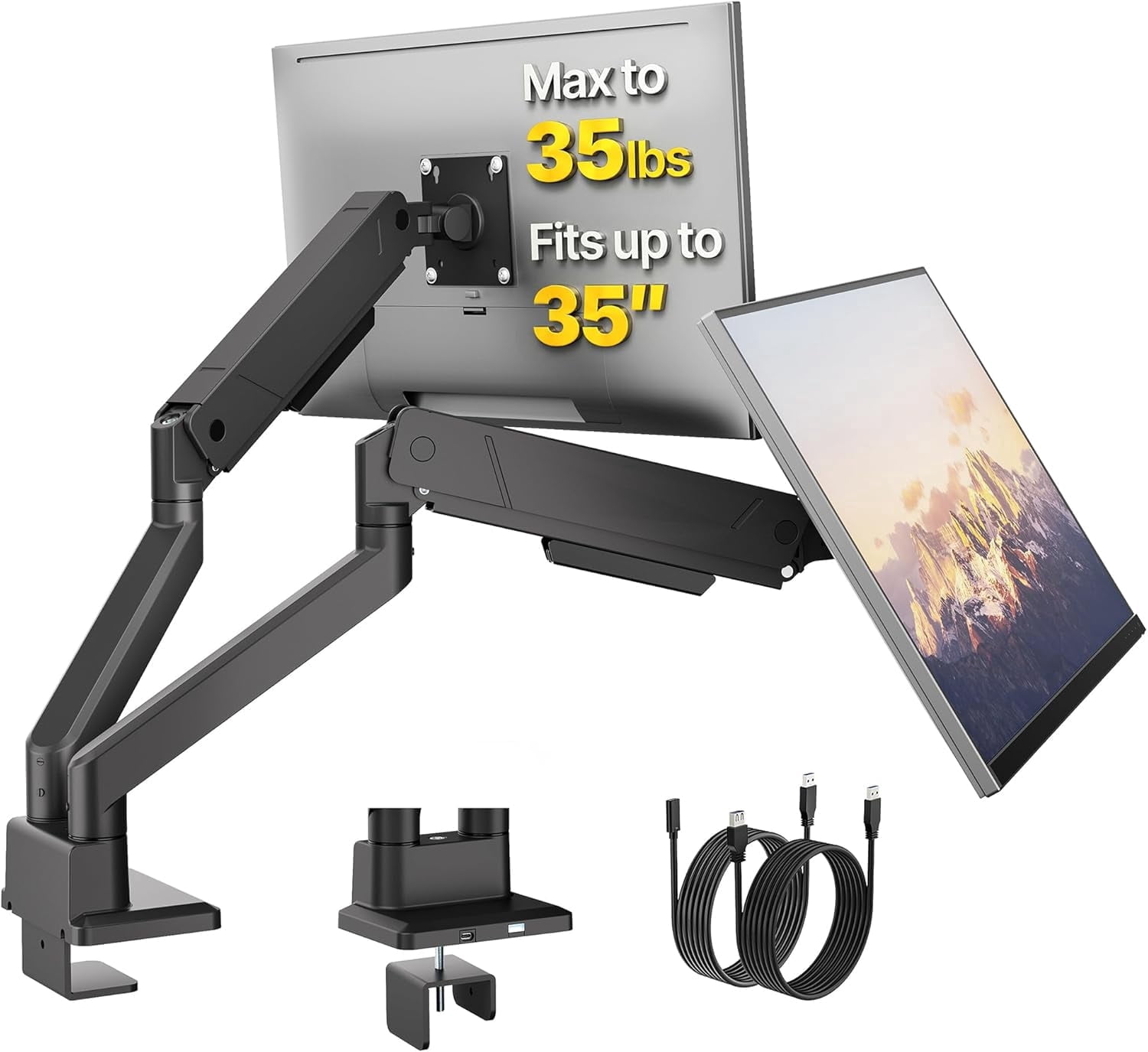 monTEK Dual Monitor Mount for 17