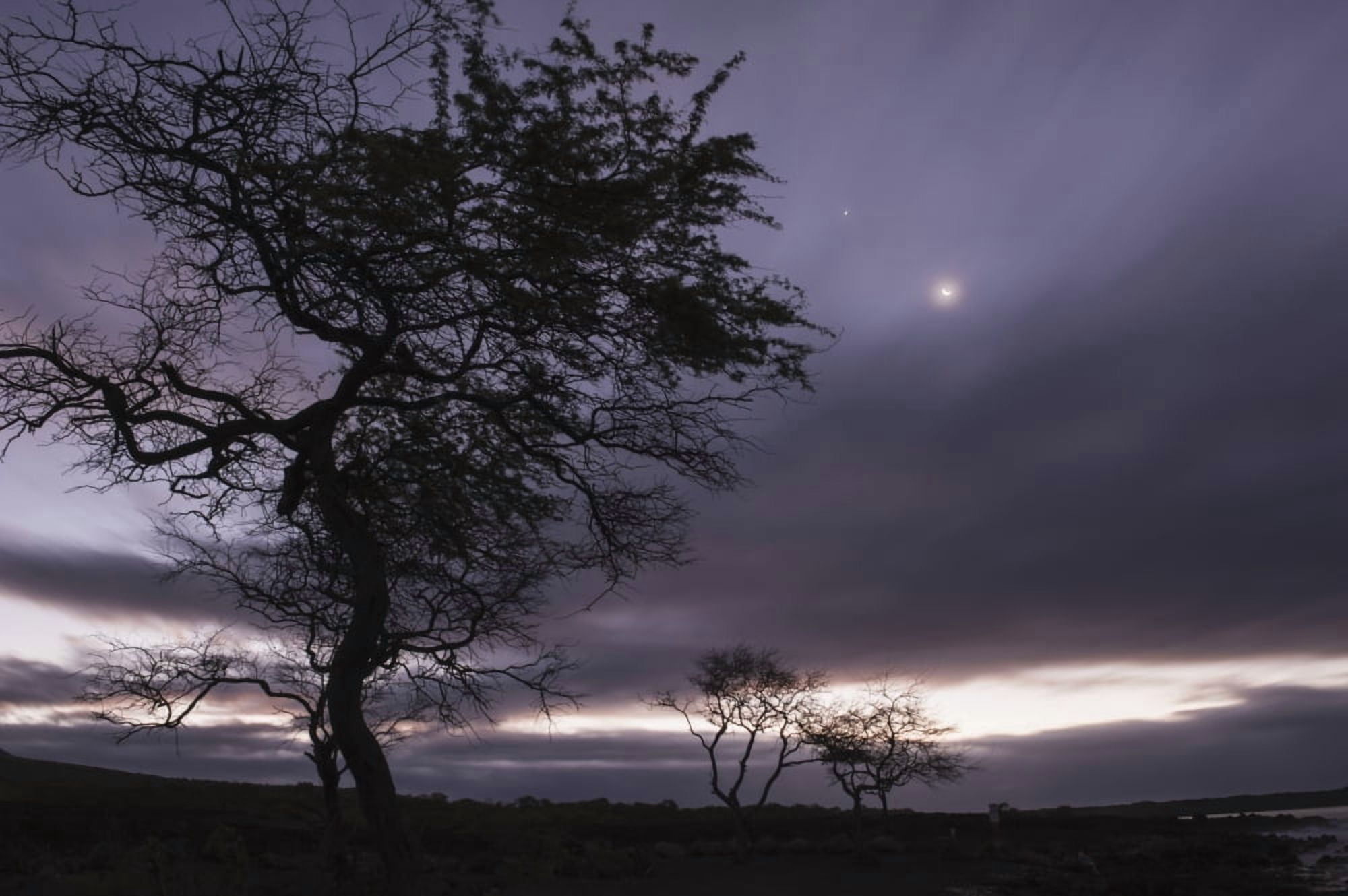 The moon shines through clouds on the southwestern coast of Maui Maui Hawaii United States of America Canvas Art - Carl Johnson Design Pics (19 x 12)