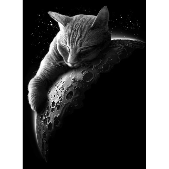 mooncat Poster Print - Adam Lawless (24 x 36)
