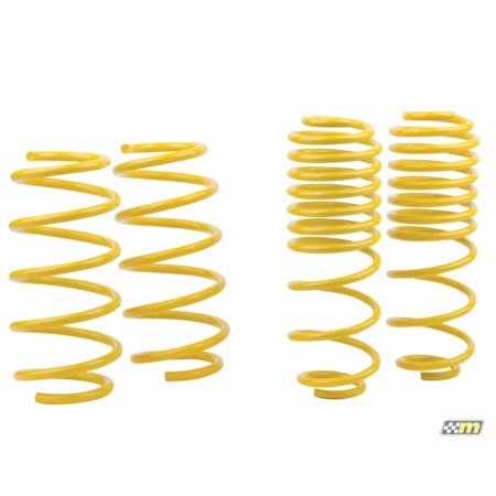 mountune Sport Spring Set 2014-2015 Fiesta ST - 2364-MSK-BA