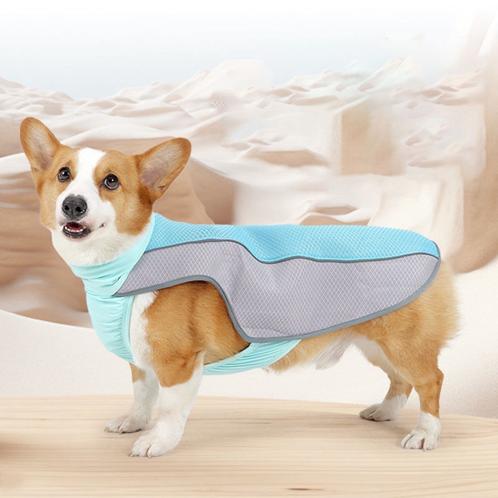 multifunctionalsmall dog harness New Dog Cool Clothes Summer Medium And