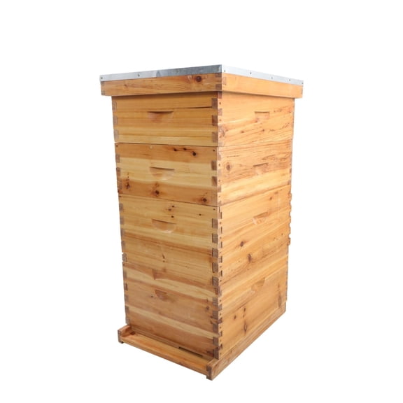 munirater 10 Frame Langstroth Bee Hive Beeswax Coated Includes Beehive Frames and Foundations 2 Deep Boxes 2 Medium Boxes