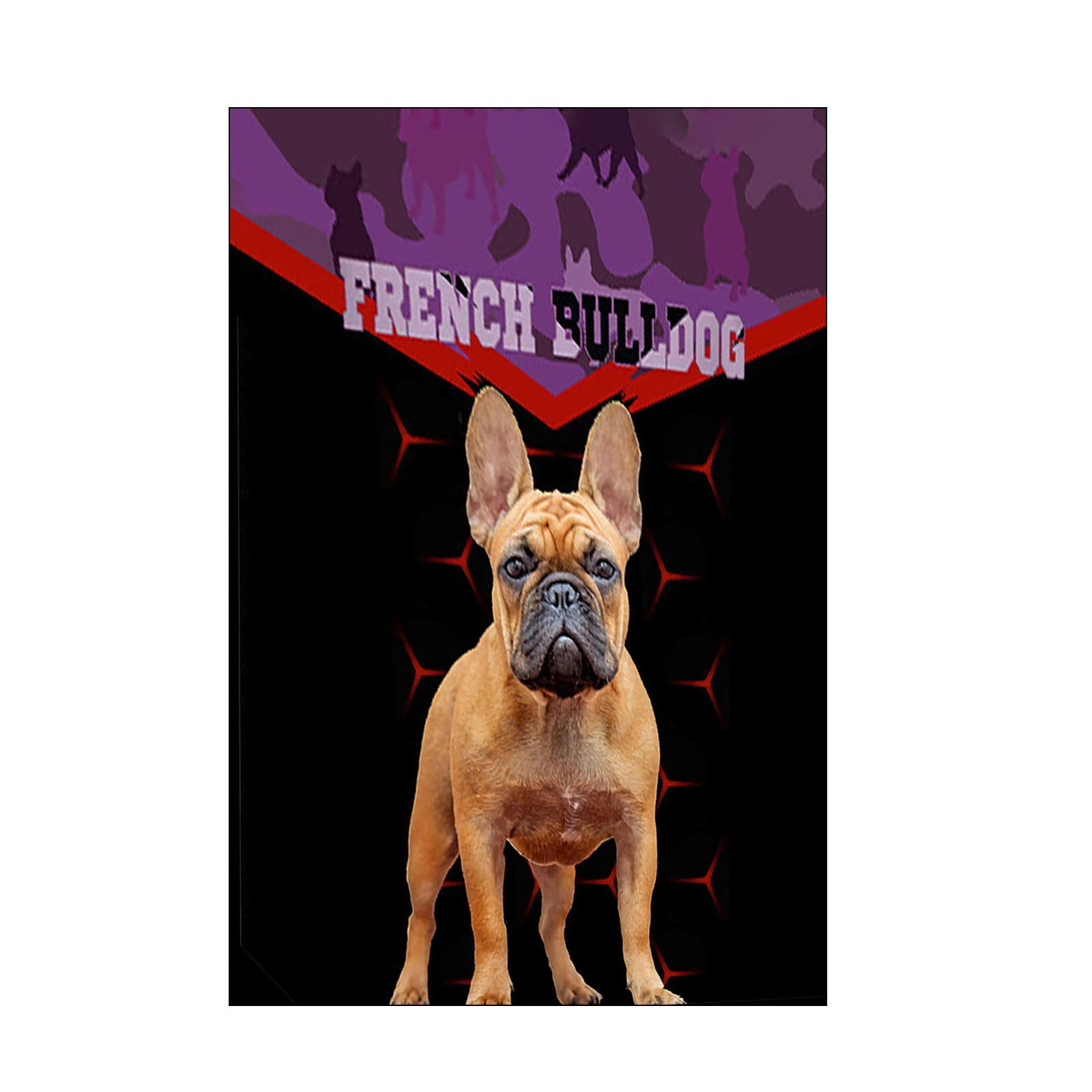 mveomtd French Bull Dog Buffalo Outdoor Indoor Rug Doormat Cotton Woven