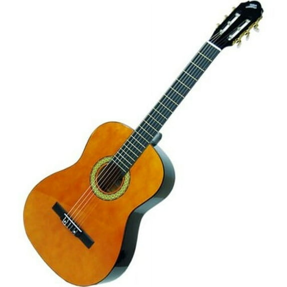 Acoustic Guitar