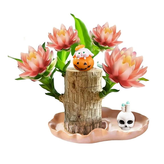 nTRIUQJ Brazilian Wood Kit, Grow Your Own Luck,Easy to Maintain Mini Brazil Woods for Indoor/Outdoor, Bedroom, Kitchen, Office Desk, Garden and Other Decorations, C