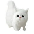 thumbnail image 1 of nTRIUQJ Lifelike Cat Toy Realistic Stuffed Animal Doll Interactive Pet Companion For Kids Children A, 1 of 3