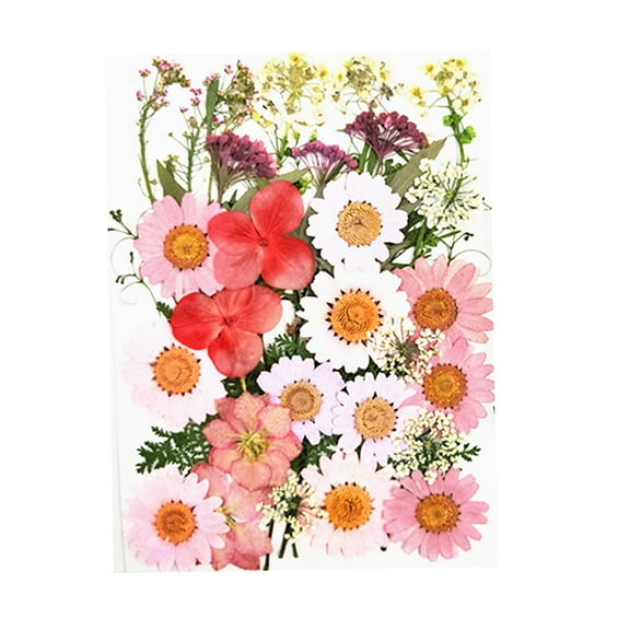 natural Mixed Dried Pressed Flowers for Wedding Invitations, Envelopes, Bookmarks, Table Decorations, Scrapbooking, - Pink