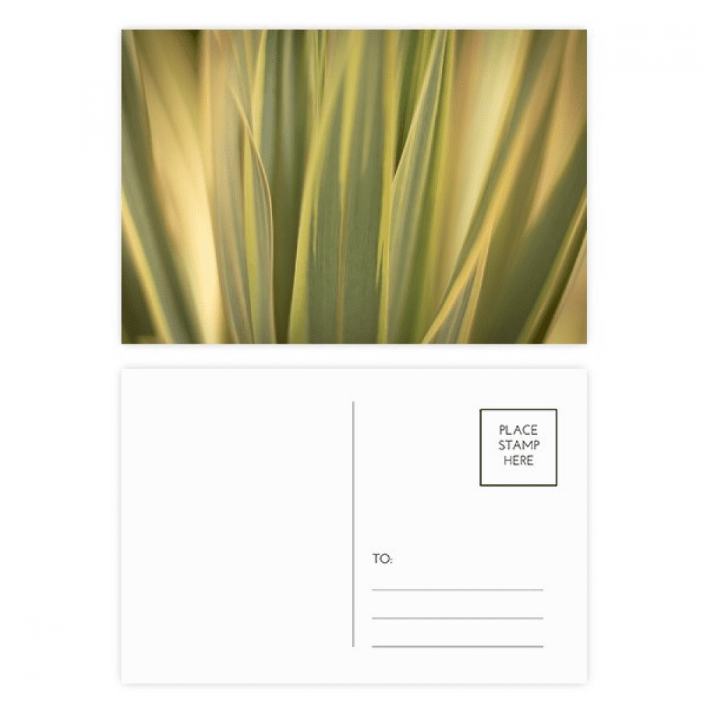 nature picture photo postcard set birthday mailing thanks greeting card