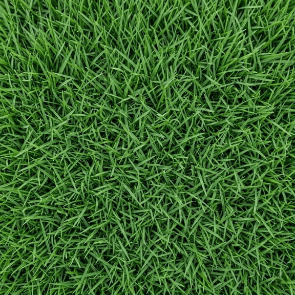 80.000 Zenith Zoysia Grass Seed, Green Zoysia Seeds for Lawn, Soft Dense Green Lawn,Ground Cover Plants Seeds