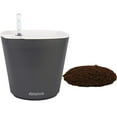 thumbnail image 1 of &nbsp;Window Garden Aquaphoric Self-Watering Planter and Fiber Soil, Foolproof Indoor Planter, 7'', Dark Grey, 1 of 6