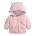 thumbnail image 1 of nerohusy Toddler Girls Boys Fleece Hoody Jacket Cute Zip Up Teddy Coat Infant Soft Warm Winter Outwear 3-18 Months Pink,12-18 Months, 1 of 9