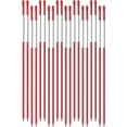 thumbnail image 1 of netuera 50 PCS Fiberglass Driveway Poles Snow Stakes with Reflective Tape Multipurpose Driveway Marker 48 Inch 5/16 Inch Red, 1 of 6