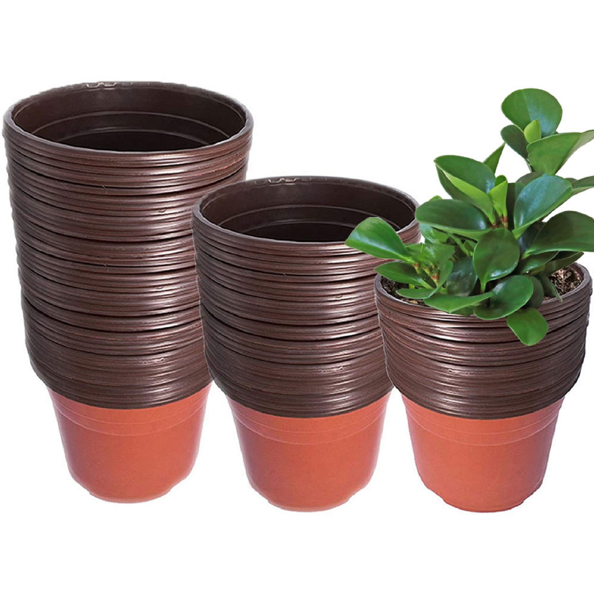 netuera Plastic Plant Flower Pots Nursery Seedlings Pot Plant 100Pcs