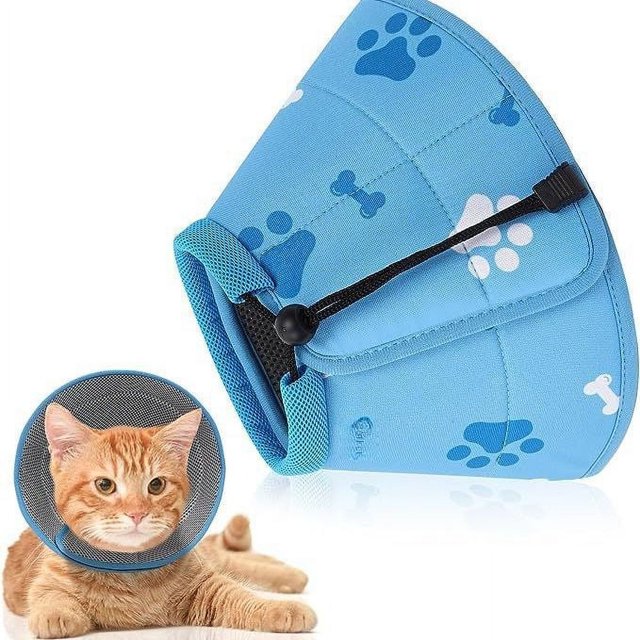 new Elizabeth ring and dog to prevent licking and scratching after